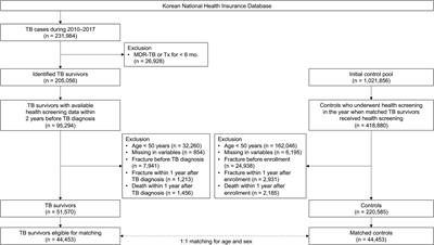 Tuberculosis and osteoporotic fracture risk: development of individualized fracture risk estimation prediction model using a nationwide cohort study
